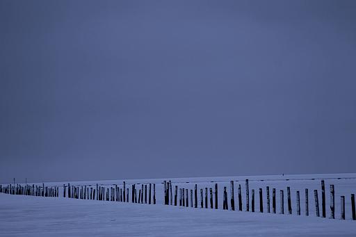x4067.jpg